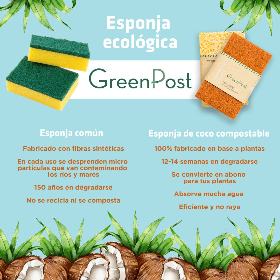Greenpost Caja 28 unidades de Esponjas Compostables de fibra de Coco